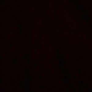 Meet your Posher, Tyrah